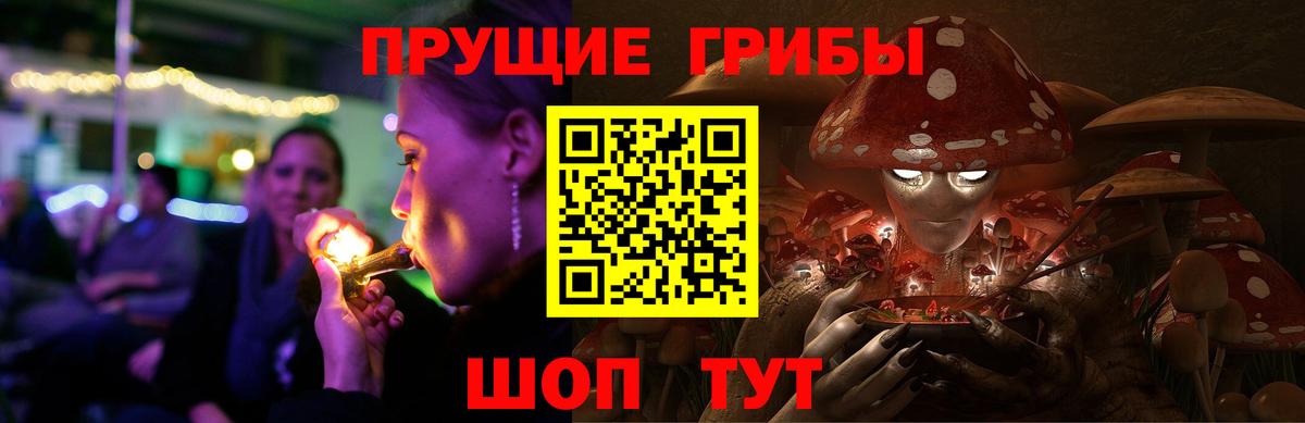 Псилоцибиновые грибы мухоморы Дальнереченск